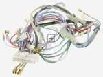Harness - 4055101432 Cable-wiring [Electrolux Aeg]