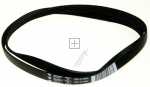 Poly v belt - C00377895 481281718177 Belt [Whirlpool Indesit]
